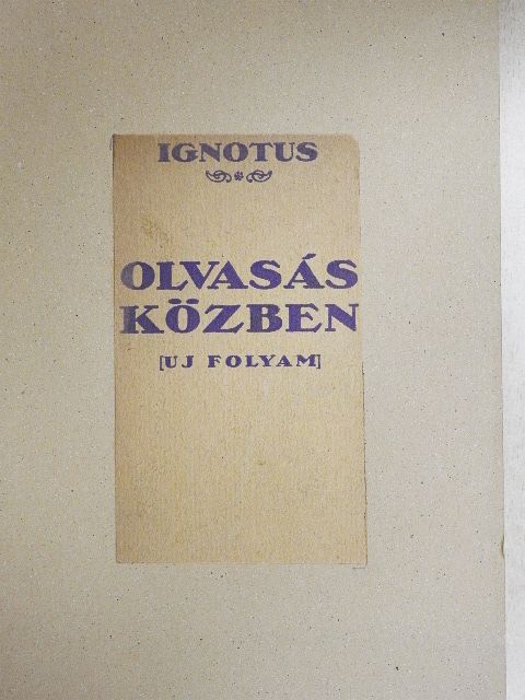 Ignotus - Olvasás közben [antikvár]