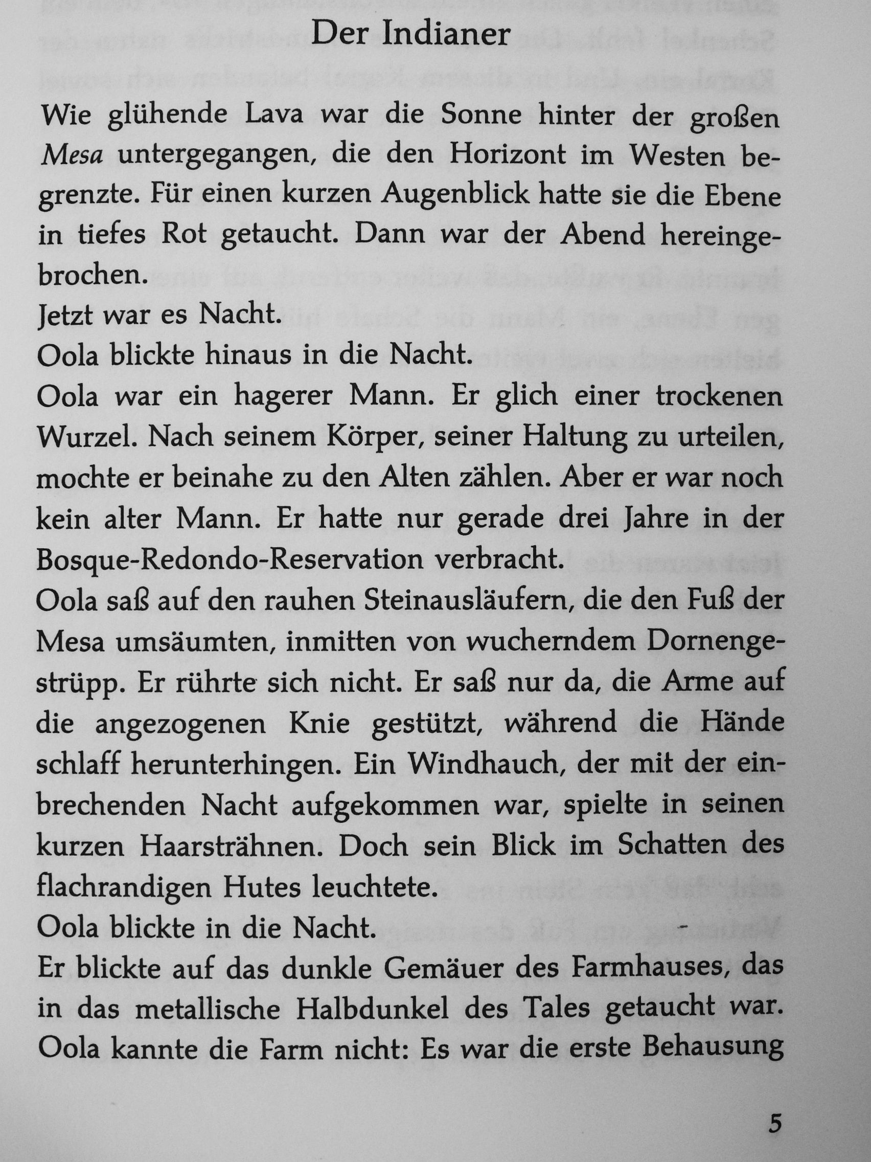 Pierre Pelot - Die Haut des Indianers [antikvár]