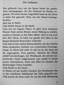 Pierre Pelot - Die Haut des Indianers [antikvár]
