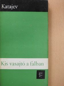 Valentyin Katajev - Kis vasajtó a falban [antikvár]