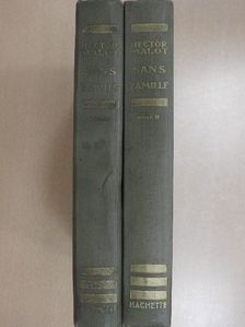 Hector Malot - Sans famille I-II. [antikvár]