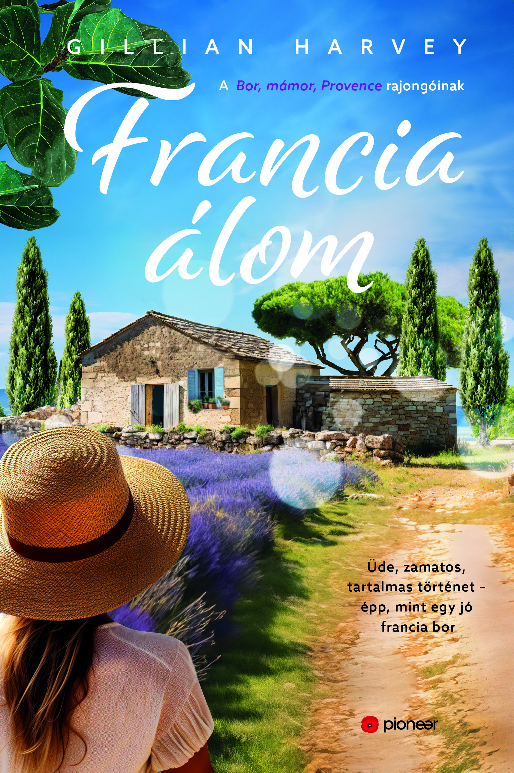 Gillian Harvey - Francia álom [eKönyv: epub, mobi]