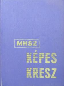 Schätzl István - MHSZ Képes KRESZ [antikvár]