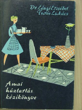 Dr. Lányi Erzsébet - A mai háztartás kézikönyve [antikvár]