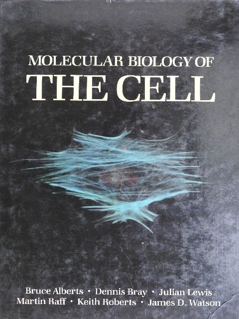 Bruce Alberts - Molecular Biology of the Cell [antikvár]