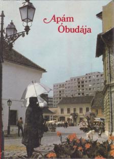 Silló-Seidl György - Apám Óbudája [antikvár]