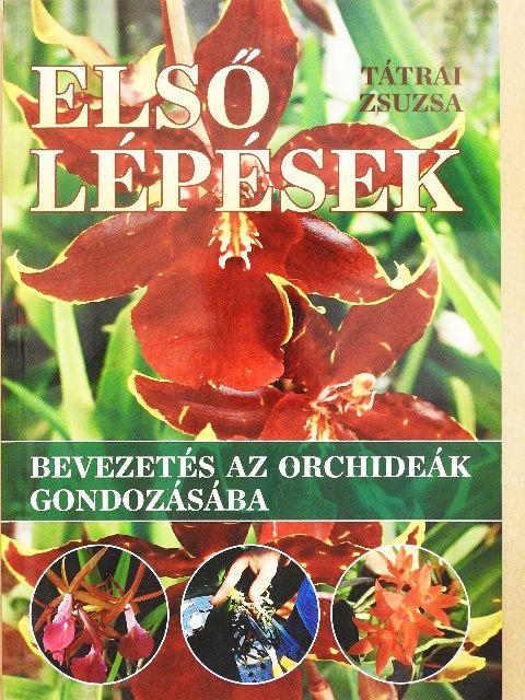 Tátrai Zsuzsa - Első lépések [antikvár]