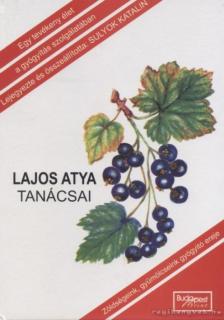 Sulyok Katalin - Lajos atya tanácsai [antikvár]