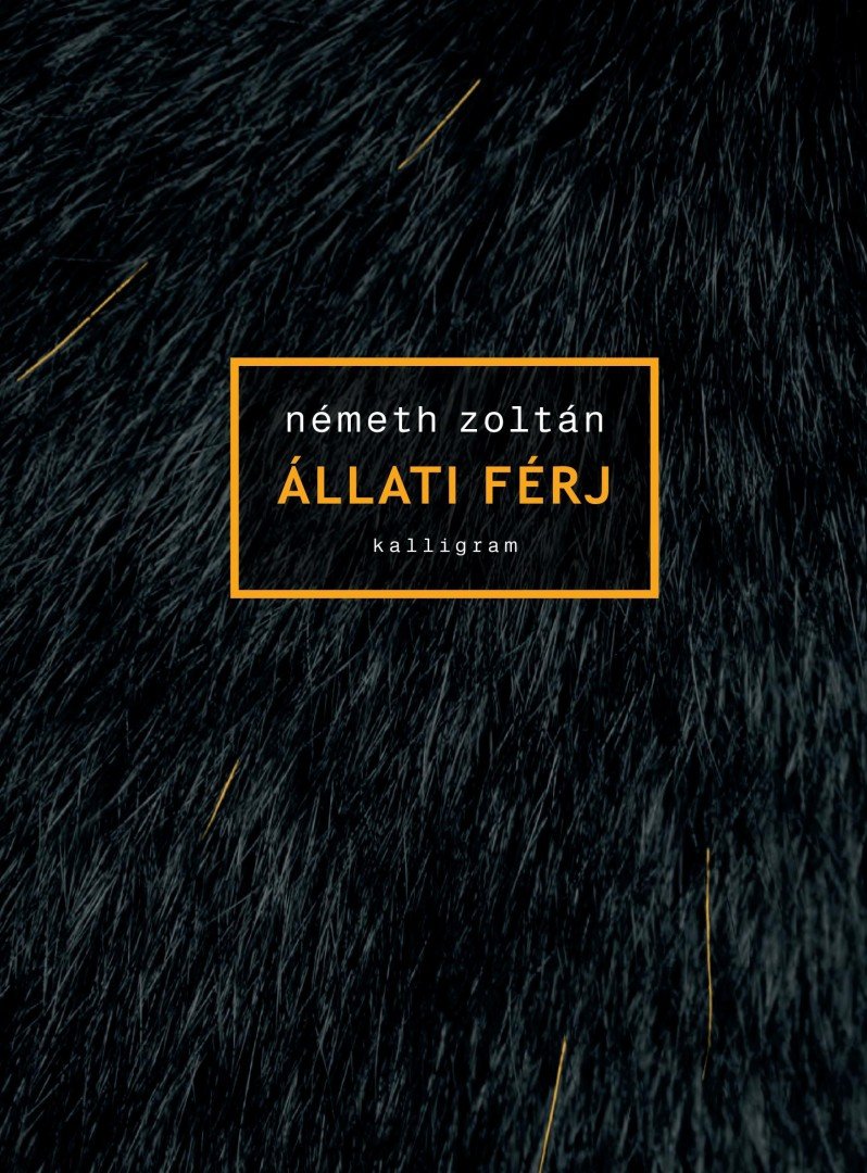 NÉMETH ZOLTÁN - Állati férj [antikvár]