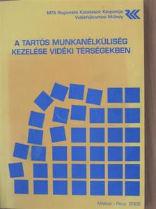 Balcsók István - A tartós munkanélküliség kezelése vidéki térségekben [antikvár]