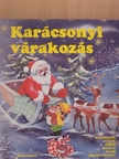 Gerda Bereit - Karácsonyi várakozás [antikvár]