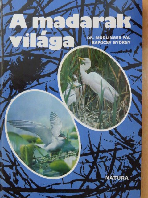 Dr. Mödlinger Pál - A madarak világa [antikvár]