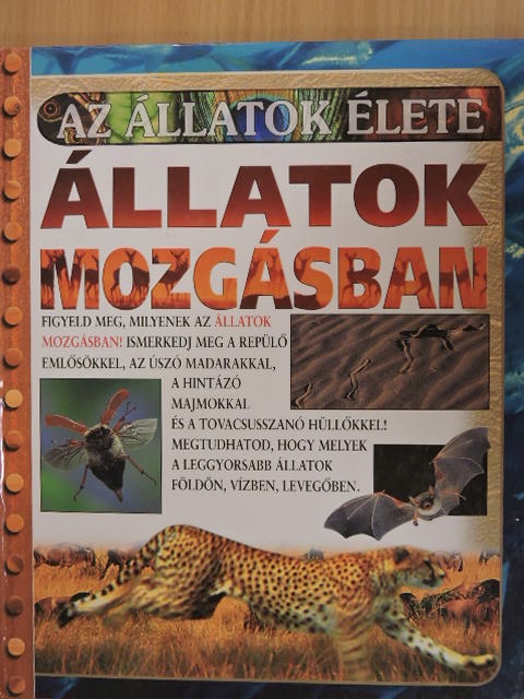 Kate Petty - Állatok mozgásban [antikvár]