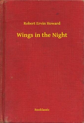Howard Robert Ervin - Wings in the Night [eKönyv: epub, mobi]