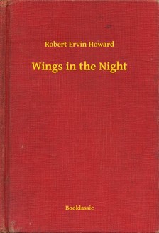 Howard Robert Ervin - Wings in the Night [eKönyv: epub, mobi]