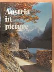 Doris Esser - Austria in picture [antikvár]