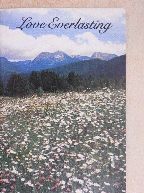 Catherine Janssen - Love Everlasting [antikvár]