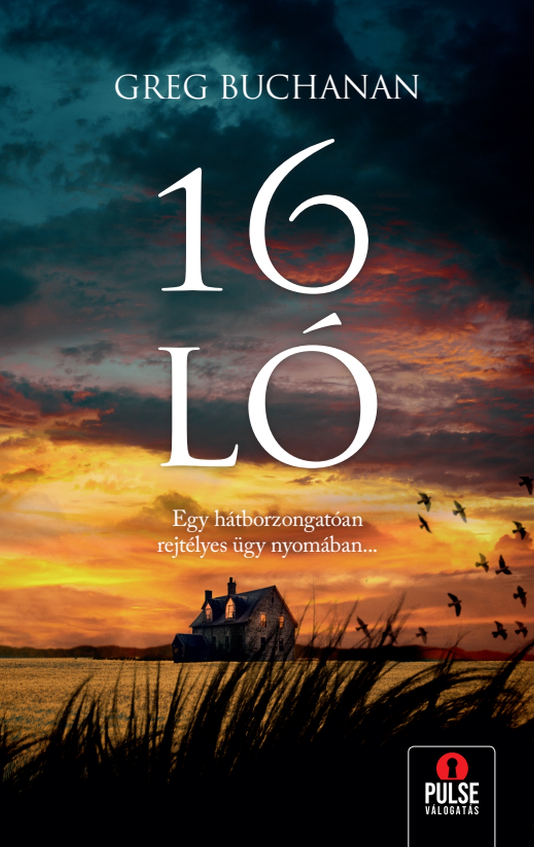 Greg Buchanan - 16 ló [eKönyv: epub, mobi]