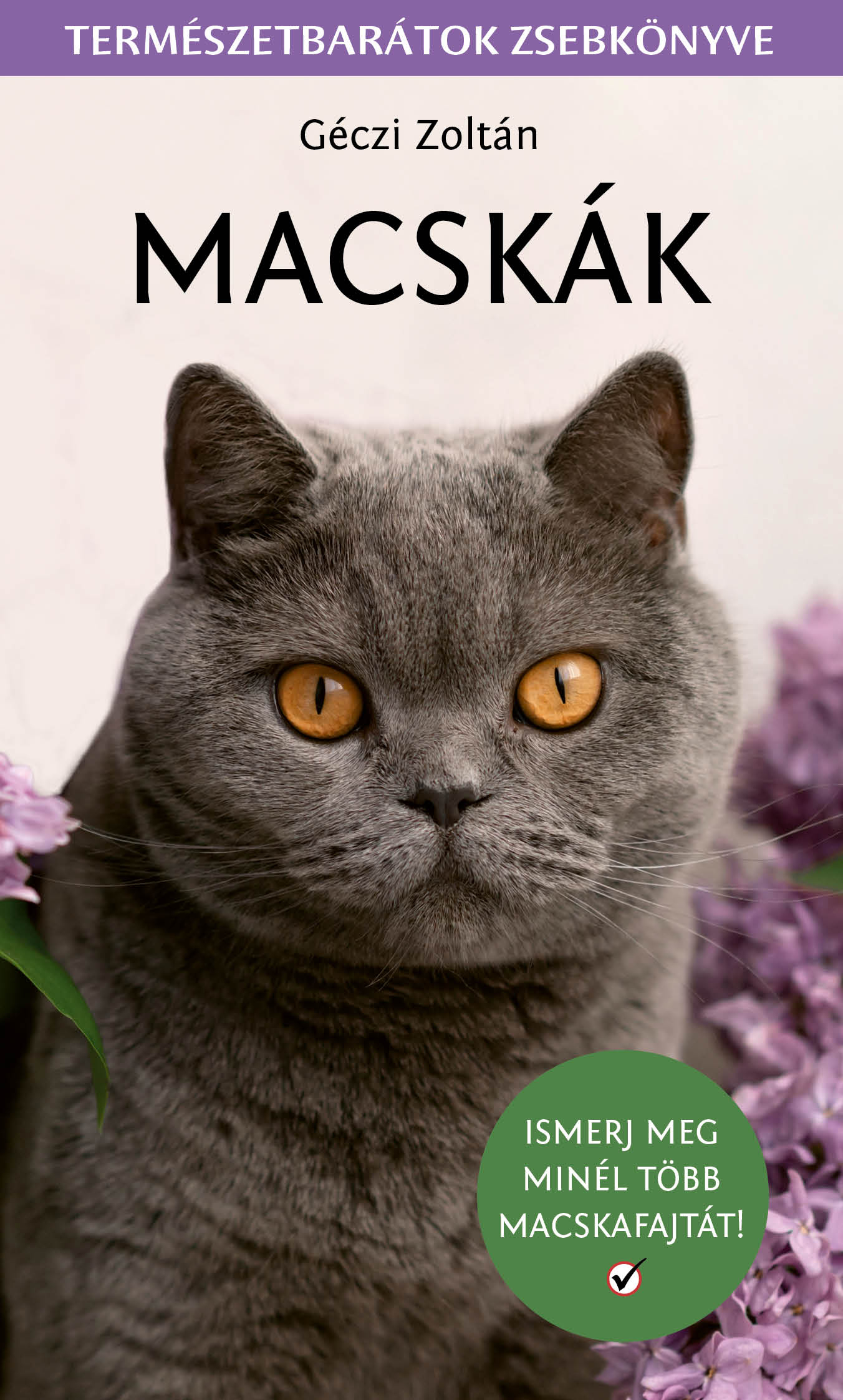 Macskák