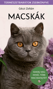 Macskák