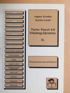 Angster Erzsébet - Turbo Pascal 6.0 feladatgyűjtemény II. [antikvár]