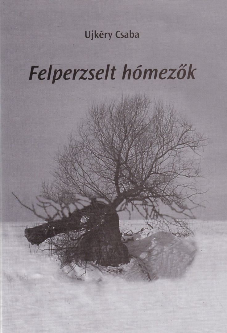 UJKÉRY CSABA - Felperzselt hómezők (dedikált) [antikvár]