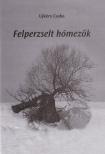 UJKÉRY CSABA - Felperzselt hómezők (dedikált) [antikvár]