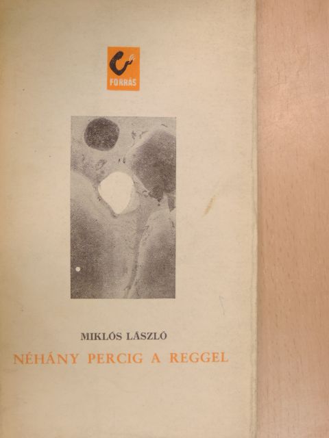 Lászlóffy Aladár - Néhány percig a reggel [antikvár]