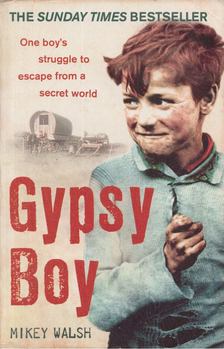 MIkey Walsh - Gypsy Boy [antikvár]