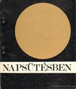 Erdős István - Napsütésben [antikvár]