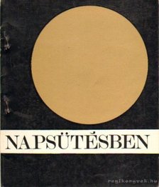 Erdős István - Napsütésben [antikvár]
