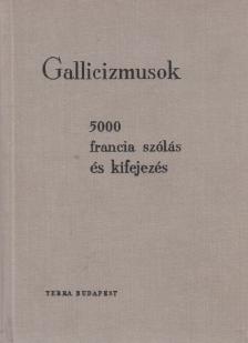 Végh Béla, Rubin Péter - Gallicizmusok [antikvár]