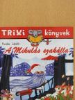 Fecske László - A Mikulás szakálla [antikvár]