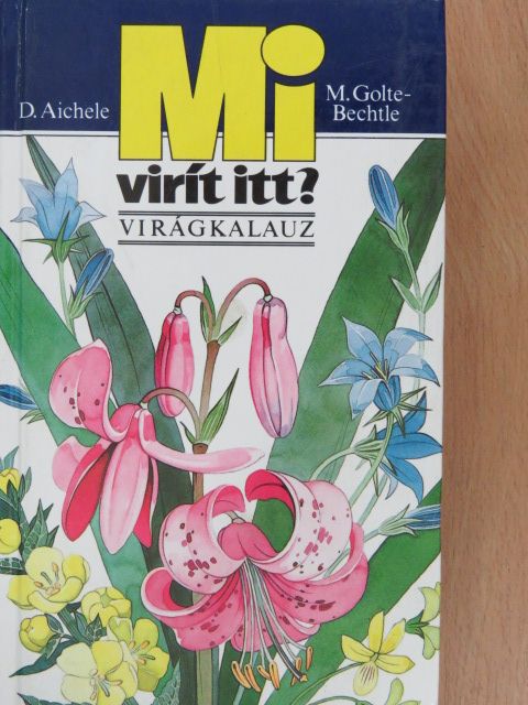 D. Aichele - Mi virít itt? [antikvár]