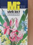 D. Aichele - Mi virít itt? [antikvár]