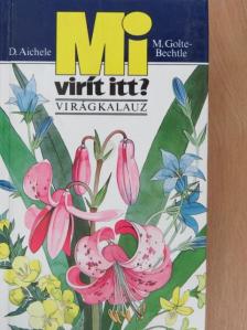 D. Aichele - Mi virít itt? [antikvár]
