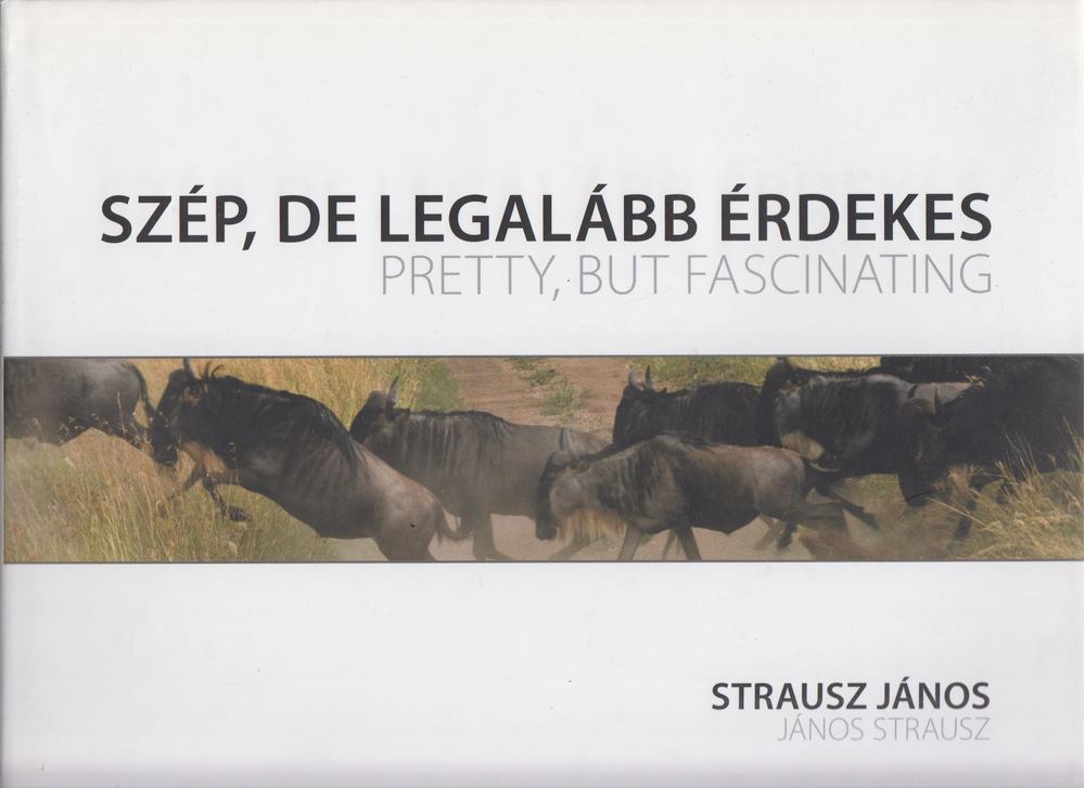 Strausz János - Szép, de legalább érdekes / Pretty, but Fascinating [antikvár]