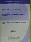 Hrubos Ildikó - A bolognai folyamat intézményi szinten [antikvár]
