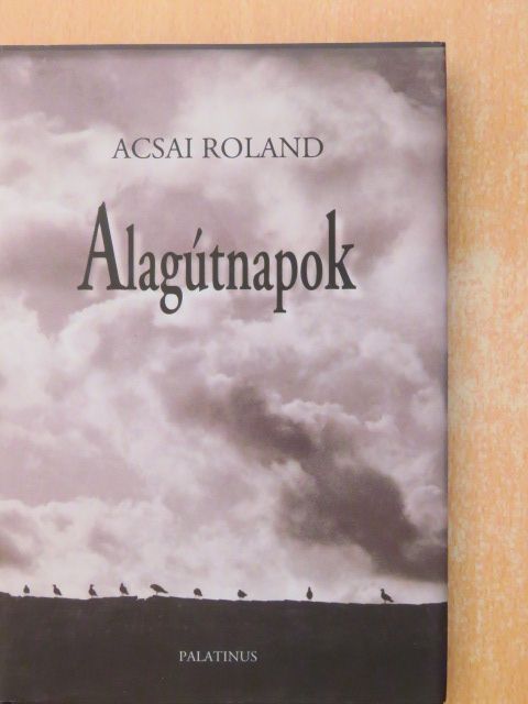 Acsai Roland - Alagútnapok [antikvár]