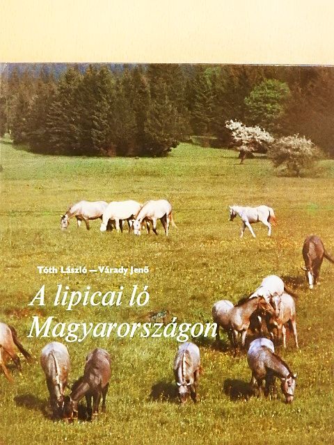 Tóth László - A lipicai ló Magyarországon [antikvár]