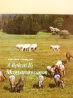 Tóth László - A lipicai ló Magyarországon [antikvár]