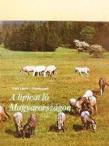 Tóth László - A lipicai ló Magyarországon [antikvár]