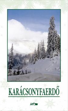 HUNYADI CSABA ZSOLT - Karácsonyfaerdő [antikvár]