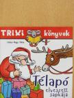 Hidasi-Nagy Mária - Télapó elveszett sapkája [antikvár]