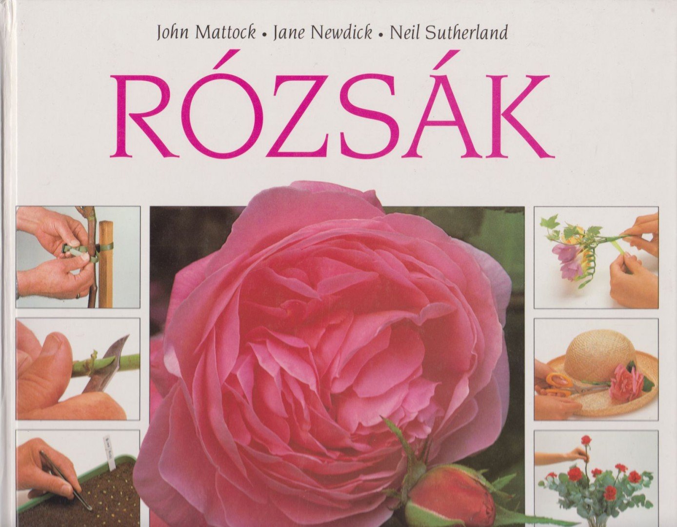 Mattock, John, Newdick, Jane - Rózsák [antikvár]