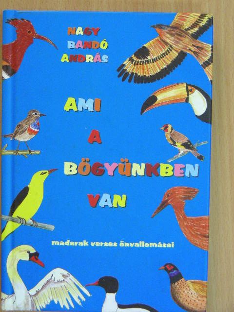 Nagy Bandó András - Ami a bögyünkben van [antikvár]