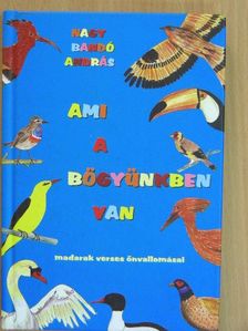 Nagy Bandó András - Ami a bögyünkben van [antikvár]