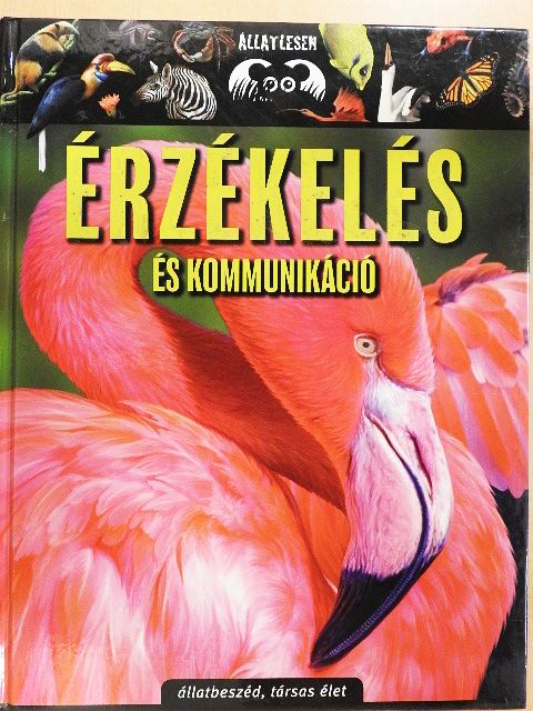 Bagoly Ilona - Érzékelés és kommunikáció [antikvár]