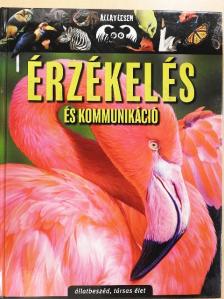 Bagoly Ilona - Érzékelés és kommunikáció [antikvár]