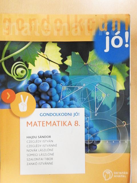 Czeglédy István - Matematika 8. [antikvár]